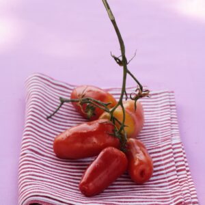 POMODORI SAN MARZANO - 5865