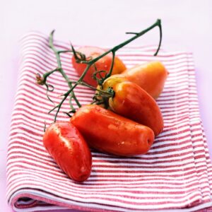 5868_POMODORI_SAN_MARZANO.JPG