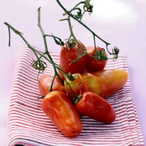 POMODORI SAN MARZANO - 5869