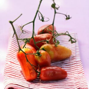 POMODORI SAN MARZANO - 5871