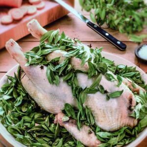 GALLINA AL MIRTO - S 166840 - 5953