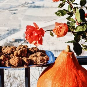 TARTUFI BIANCHI, PIEMONTE, PRODOTTI REGIONALI, LANGHE, ALBA