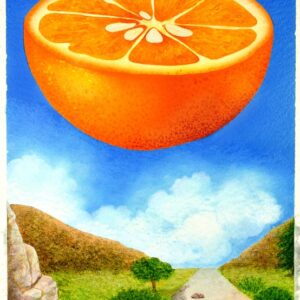ARANCIO NEL VIALE