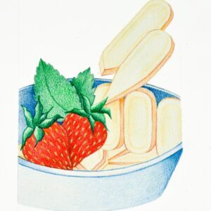 RIVESTIMENTO STAMPO SAVOIARDI FRAGOLE MENTA - 9626