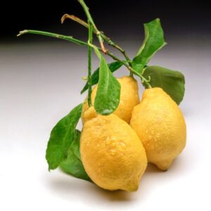 LIMONI - BL32910