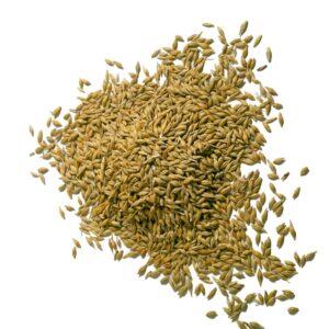 BL_34_900_AVENA1.JPG - BL 34 900 AVENA1