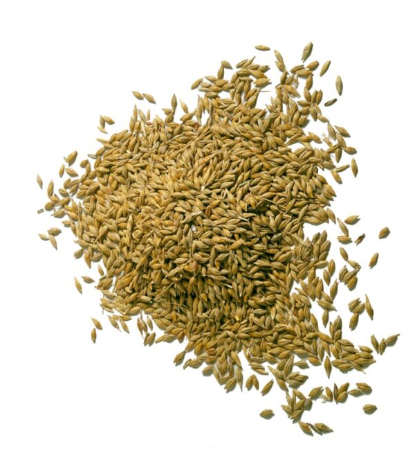 BL_34_900_AVENA1.JPG - BL 34 900 AVENA1