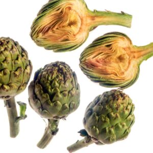 CARCIOFO MAMMOLA ROMANA