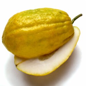 CEDRO - 54043