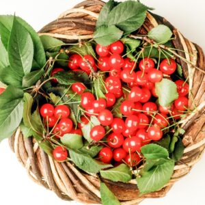 CESTO DI AMARENE