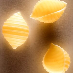 CONCHIGLIE PASTA