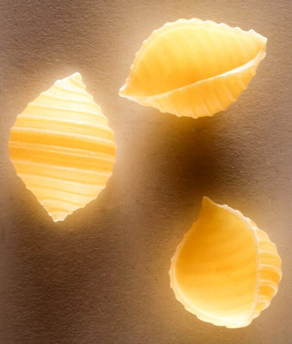 CONCHIGLIE PASTA