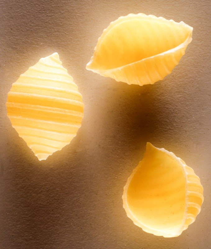 CONCHIGLIE PASTA - immagine 1