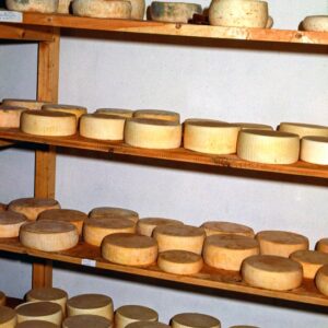 FORMAGGI UMBRIA STAGIONATURA - 55582