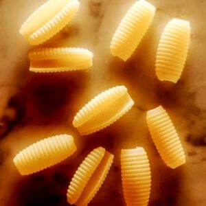 GNOCCHETTI SARDI - 56287