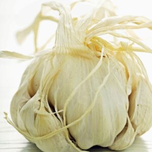 AGLIO - GT6J1172