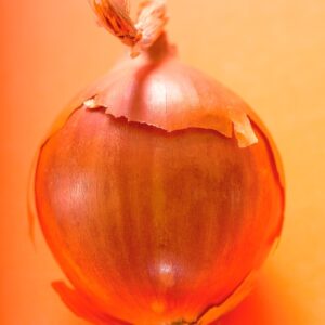 CIPOLLA