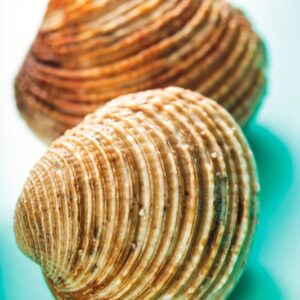 TARTUFI DI MARE