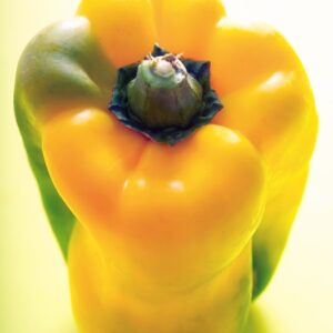 PEPERONE GIALLO VERDE - K2287