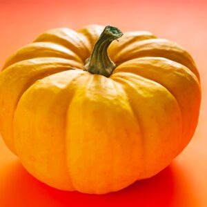 ZUCCA