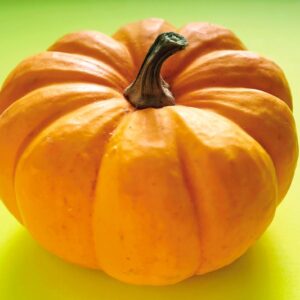 ZUCCA