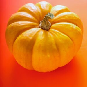 ZUCCA