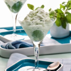 GRANITA ALLO YOGURT E MENTA BIANCA - 1004