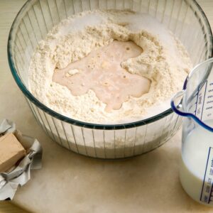 PANE AI FICHI E SEMI DI FINOCCHIO (Step 1) - K7883