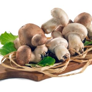 CHAMPIGNON