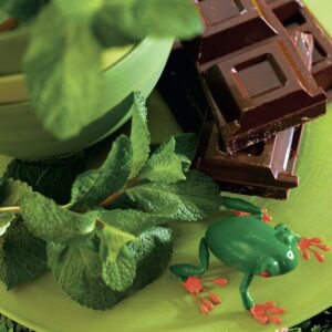 MENTA E CIOCCOLATO - K9187