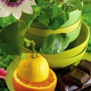 ARANCIO LIMONE CIOCCOLATO E MENTA