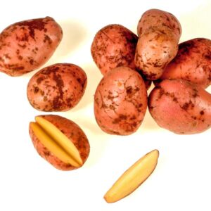 PATATE ROSSE DI COLFIORITO - 65209