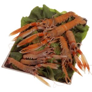 SCAMPI - S-31-00 - 65440