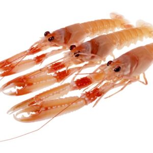 SCAMPI - S-36-990 - 65445