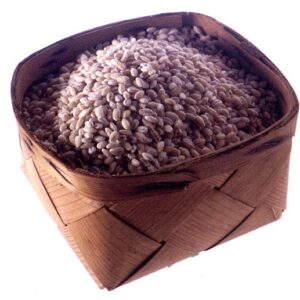 STILL LIFE ORZO - S.58 00 1 - 65670