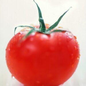 POMODORO - S 01 01 1497