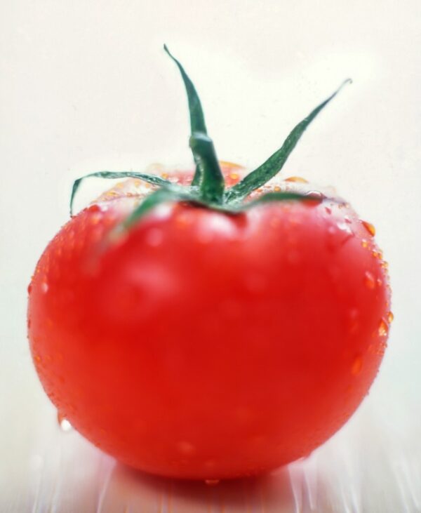 POMODORO - S 01 01 1497 - immagine 1