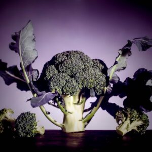BROCCOLI - S 01 01 1575