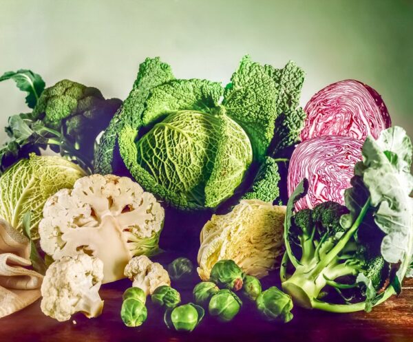 S_01_01_1579_BROCCOLI_VERZ_2.JPG - S 01 01 1579 BROCCOLI VERZ 2