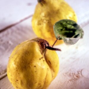 MELE COTOGNE - S 01 02 2067