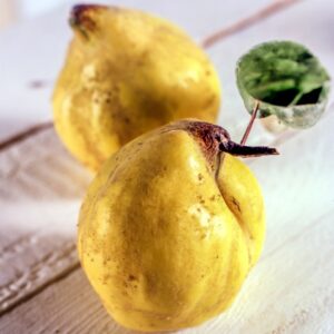 MELE COTOGNE - S 01 02 2075