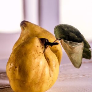 MELE COTOGNE - S 01 02 2076