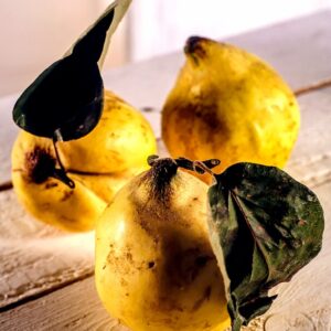 MELE COTOGNE - S 01 02 2080