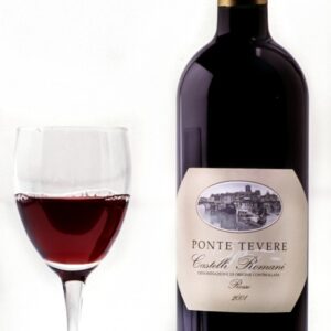 PONTE TEVERE - S 01 02 2401