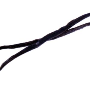 STECCA DI VANIG - S 01 02 653