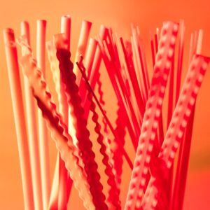 REGINETTE SPAGH - S 01 02 708