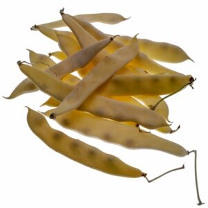 PIATTONI - S 01 02 848