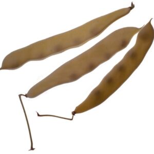 PIATTONI - S 01 02 849