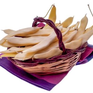 PIATTONI - S 01 02 851