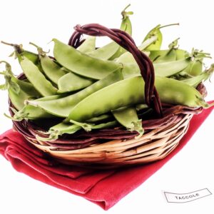 TACCOLE - S 01 02 858